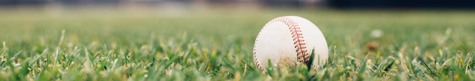 Baseball in field