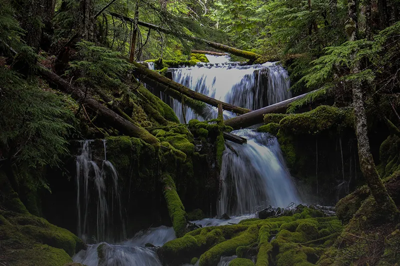 2025 Photo Contest