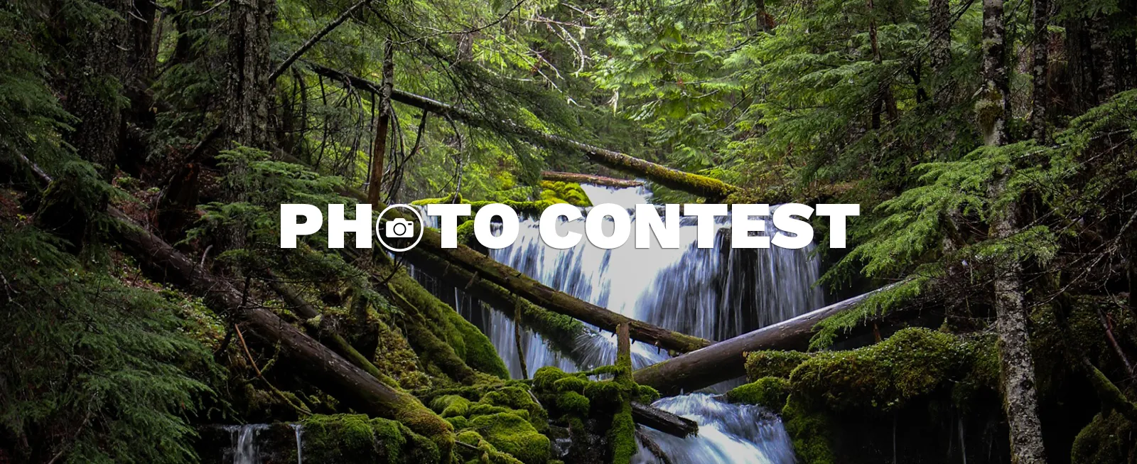 Photo contest