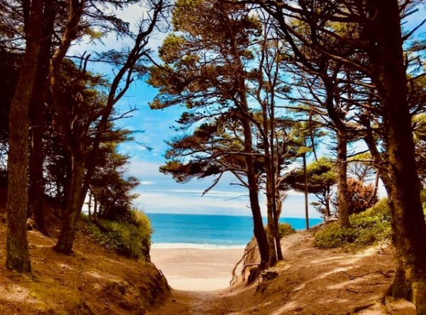 Pathway to Paradise