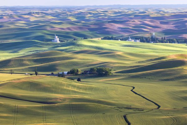 Palouse Hills